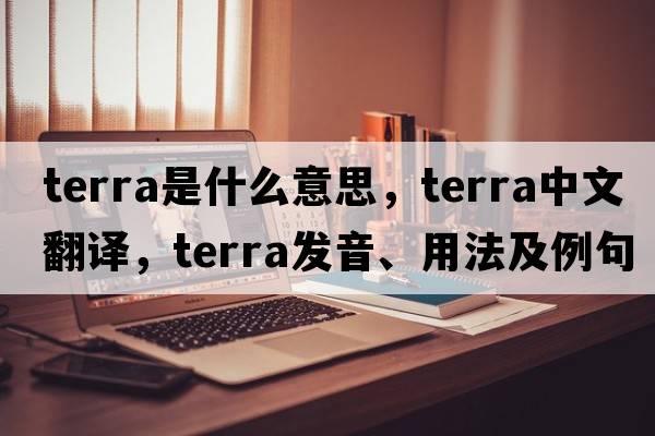 terra是什么意思，terra中文翻譯，terra發(fā)音、用法及例句