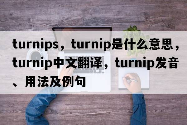 turnips，turnip是什么意思，turnip中文翻譯，turnip發(fā)音、用法及例句