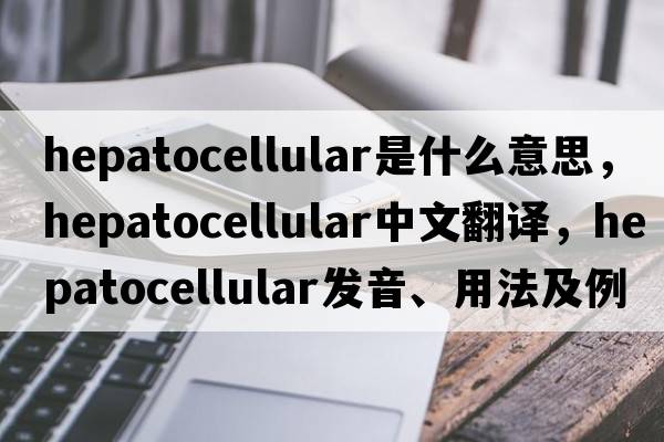 hepatocellular是什么意思，hepatocellular中文翻譯，hepatocellular發(fā)音、用法及例句