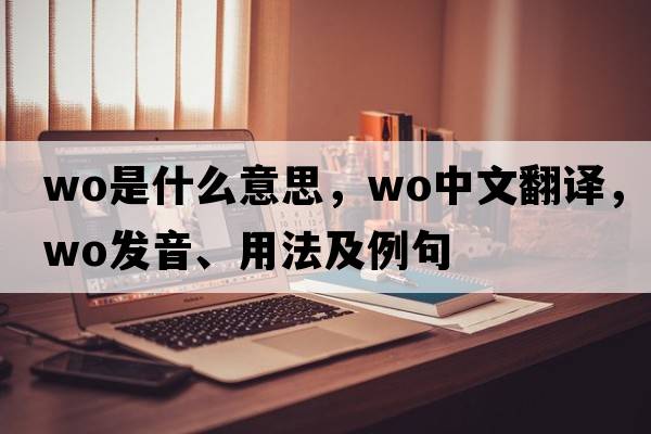 wo是什么意思，wo中文翻譯，wo發(fā)音、用法及例句
