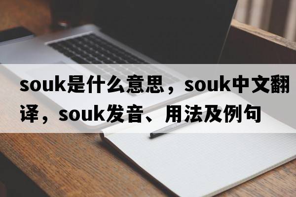 souk是什么意思，souk中文翻譯，souk發(fā)音、用法及例句