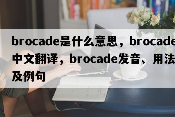 brocade是什么意思，brocade中文翻譯，brocade發(fā)音、用法及例句