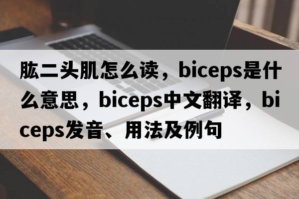 肱二頭肌怎么讀，biceps是什么意思，biceps中文翻譯，biceps發(fā)音、用法及例句