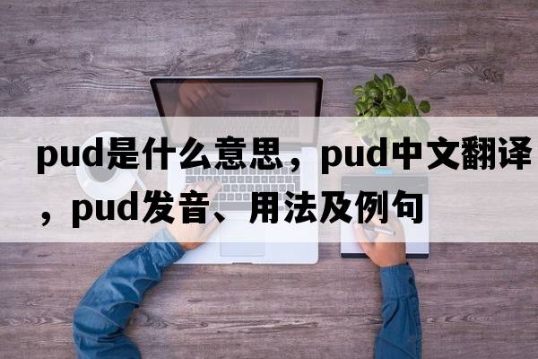 pud是什么意思，pud中文翻譯，pud發(fā)音、用法及例句