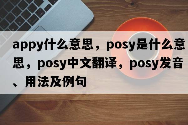 appy什么意思，posy是什么意思，posy中文翻譯，posy發(fā)音、用法及例句