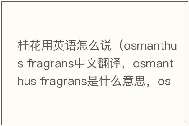 桂花用英語怎么說（osmanthus fragrans中文翻譯，osmanthus fragrans是什么意思，osmanthus fragrans發(fā)音、用法及例句）