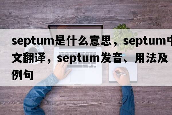 septum是什么意思，septum中文翻譯，septum發(fā)音、用法及例句