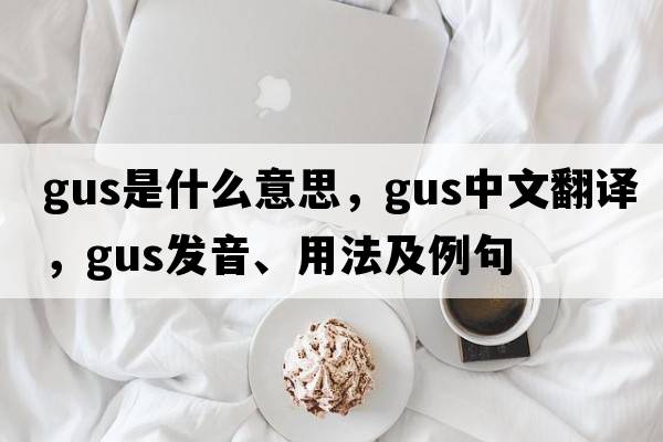 gus是什么意思，gus中文翻譯，gus發(fā)音、用法及例句