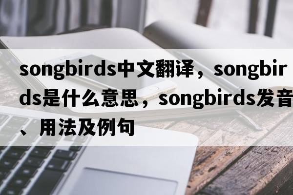 songbirds中文翻譯，songbirds是什么意思，songbirds發(fā)音、用法及例句