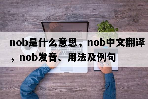 nob是什么意思，nob中文翻譯，nob發(fā)音、用法及例句