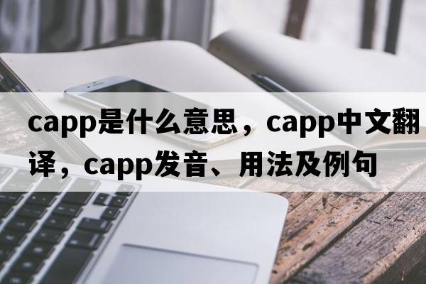 CAPP是什么意思，CAPP中文翻譯，CAPP發(fā)音、用法及例句