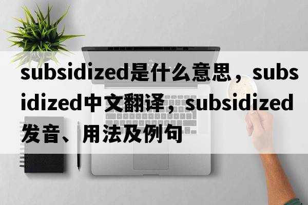 subsidized是什么意思，subsidized中文翻譯，subsidized發(fā)音、用法及例句