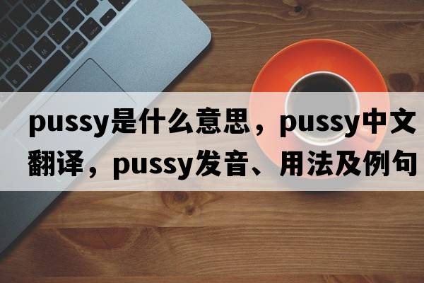 pussy是什么意思，pussy中文翻譯，pussy發(fā)音、用法及例句