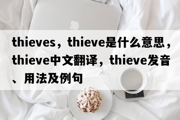 thieves，thieve是什么意思，thieve中文翻譯，thieve發(fā)音、用法及例句