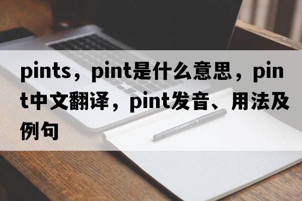 pints，pint是什么意思，pint中文翻譯，pint發(fā)音、用法及例句