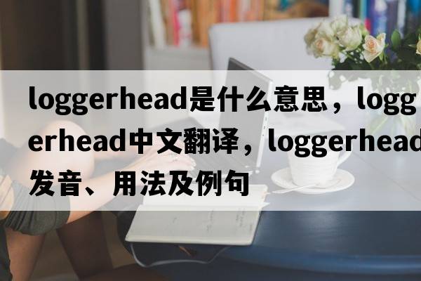 loggerhead是什么意思，loggerhead中文翻譯，loggerhead發(fā)音、用法及例句