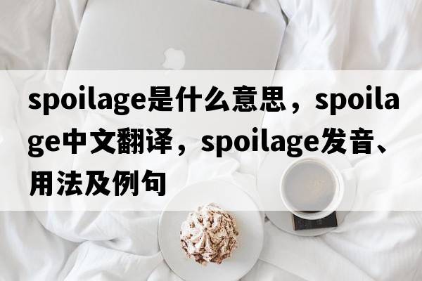 spoilage是什么意思，spoilage中文翻譯，spoilage發(fā)音、用法及例句