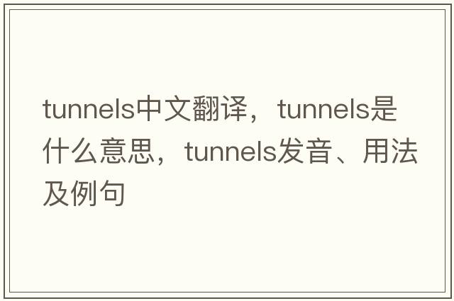 tunnels中文翻譯，tunnels是什么意思，tunnels發(fā)音、用法及例句