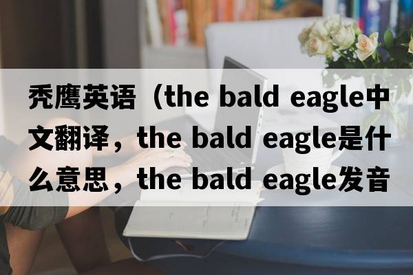 禿鷹英語(yǔ)（the bald eagle中文翻譯，the bald eagle是什么意思，the bald eagle發(fā)音、用法及例句）