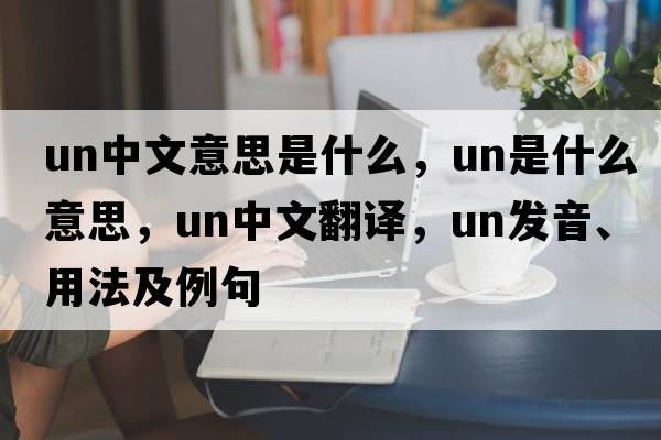 un中文意思是什么，UN是什么意思，UN中文翻譯，UN發(fā)音、用法及例句