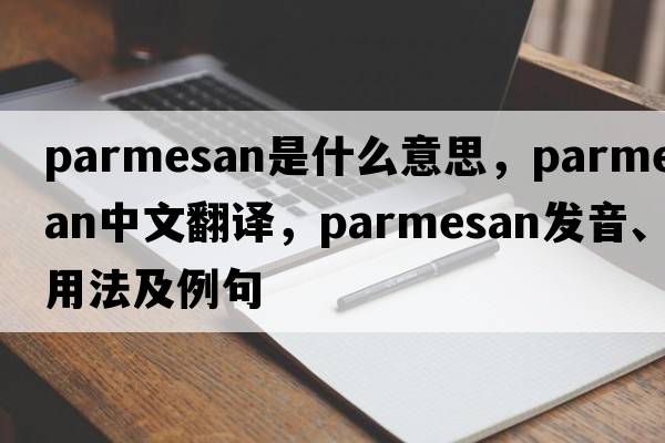 Parmesan是什么意思，Parmesan中文翻譯，Parmesan發(fā)音、用法及例句