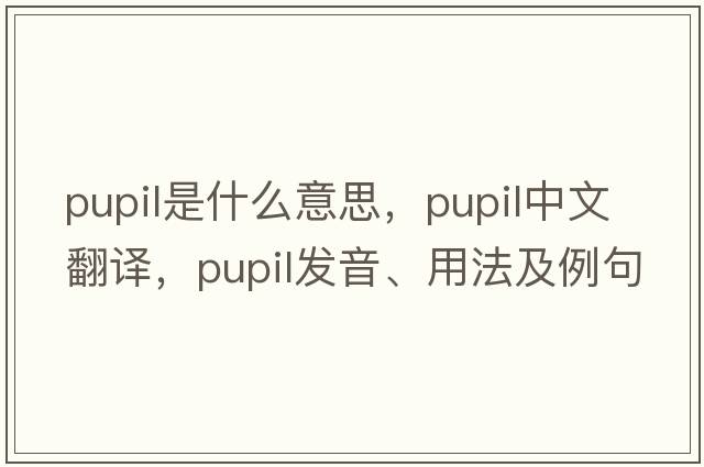 pupil是什么意思，pupil中文翻譯，pupil發(fā)音、用法及例句