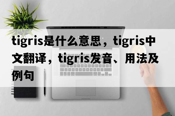 tigris是什么意思，tigris中文翻譯，tigris發(fā)音、用法及例句