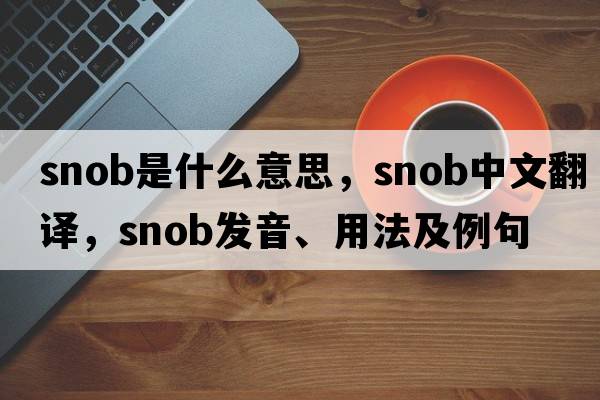 snob是什么意思，snob中文翻譯，snob發(fā)音、用法及例句