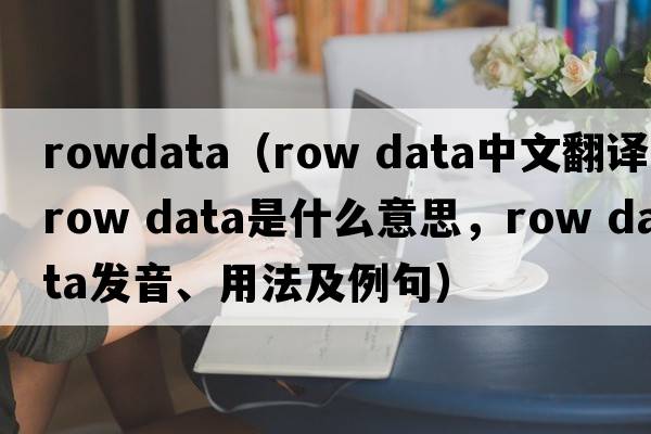 rowdata（row data中文翻譯，row data是什么意思，row data發(fā)音、用法及例句）