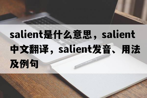 salient是什么意思，salient中文翻譯，salient發(fā)音、用法及例句