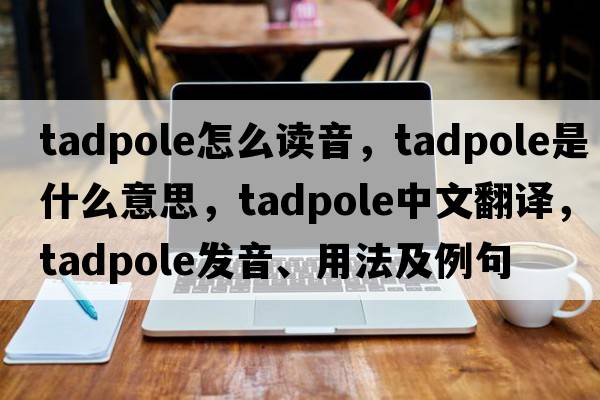 tadpole怎么讀音，tadpole是什么意思，tadpole中文翻譯，tadpole發(fā)音、用法及例句