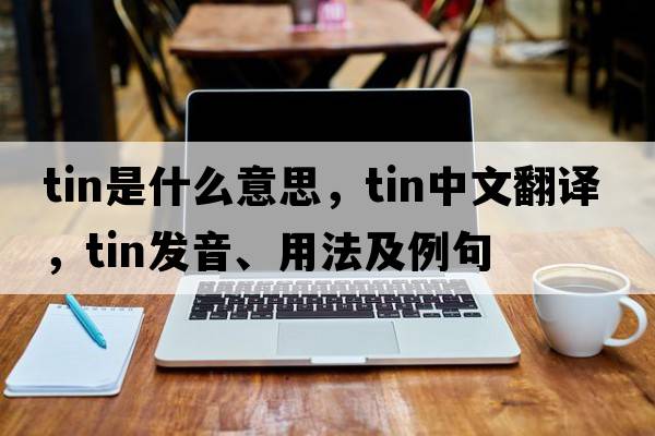 tin是什么意思，tin中文翻譯，tin發(fā)音、用法及例句