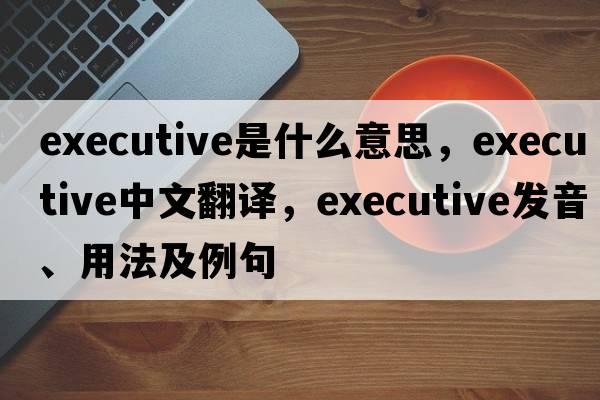 executive是什么意思，executive中文翻譯，executive發(fā)音、用法及例句