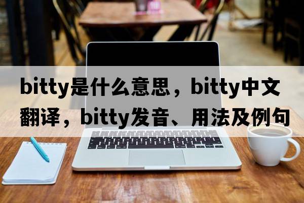 bitty是什么意思，bitty中文翻譯，bitty發(fā)音、用法及例句