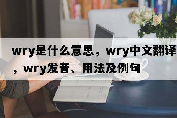 wry是什么意思，wry中文翻譯，wry發(fā)音、用法及例句