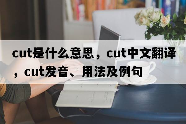 cut是什么意思，cut中文翻譯，cut發(fā)音、用法及例句