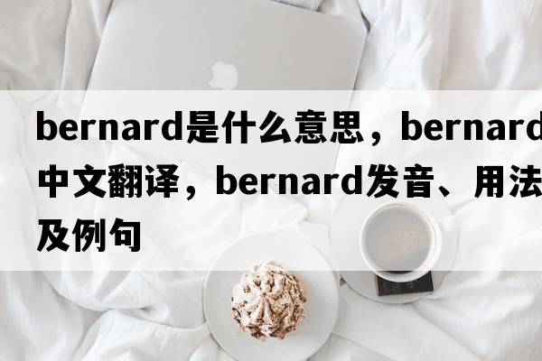 bernard是什么意思，bernard中文翻譯，bernard發(fā)音、用法及例句