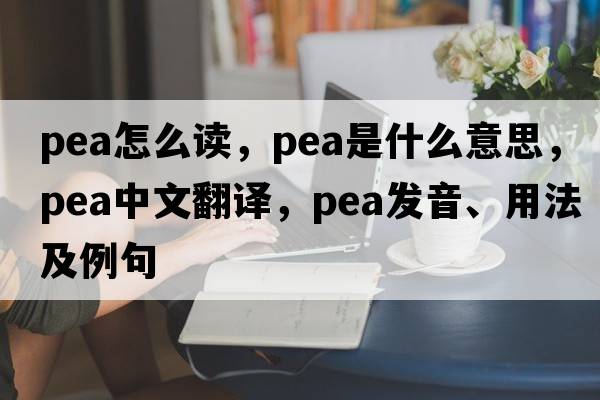 pea怎么讀，pea是什么意思，pea中文翻譯，pea發(fā)音、用法及例句