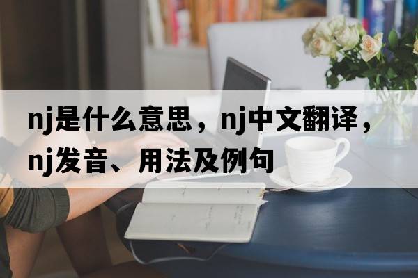 nj是什么意思，nj中文翻譯，nj發(fā)音、用法及例句