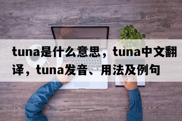 tuna是什么意思，tuna中文翻譯，tuna發(fā)音、用法及例句