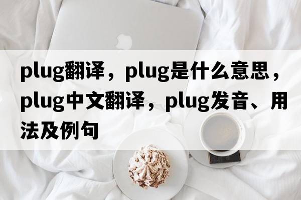 plug翻譯，plug是什么意思，plug中文翻譯，plug發(fā)音、用法及例句