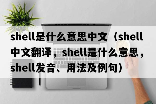 shell是什么意思中文（shell中文翻譯，shell是什么意思，shell發(fā)音、用法及例句）