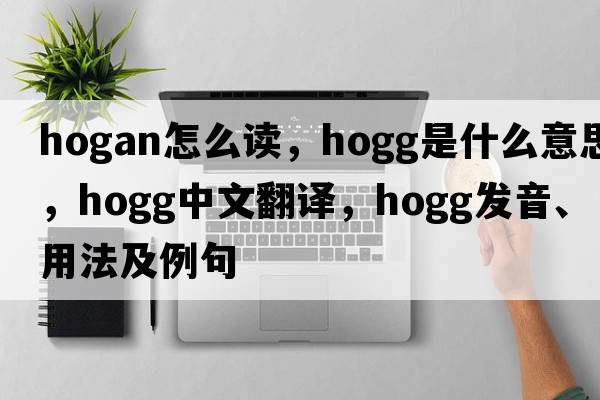 hogan怎么讀，Hogg是什么意思，Hogg中文翻譯，Hogg發(fā)音、用法及例句