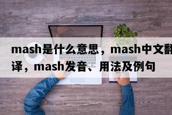 mash是什么意思，mash中文翻譯，mash發(fā)音、用法及例句
