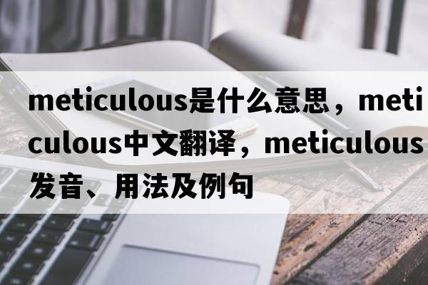 meticulous是什么意思，meticulous中文翻譯，meticulous發(fā)音、用法及例句