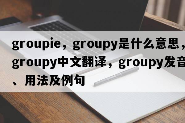 groupie，groupy是什么意思，groupy中文翻譯，groupy發(fā)音、用法及例句