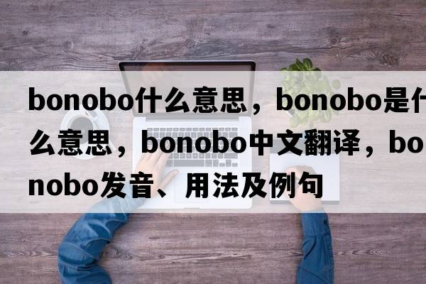 bonobo什么意思，bonobo是什么意思，bonobo中文翻譯，bonobo發(fā)音、用法及例句