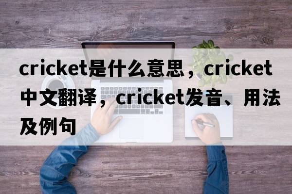 cricket是什么意思，cricket中文翻譯，cricket發(fā)音、用法及例句