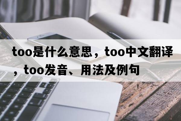 too是什么意思，too中文翻譯，too發(fā)音、用法及例句