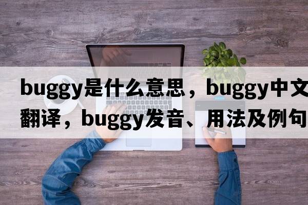buggy是什么意思，buggy中文翻譯，buggy發(fā)音、用法及例句